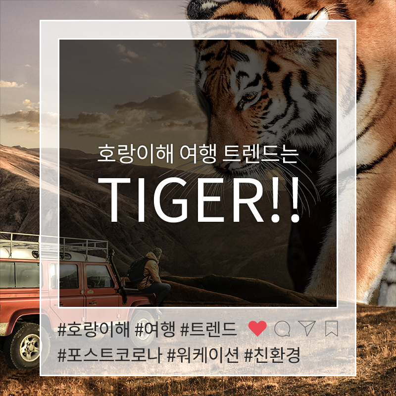 사진1