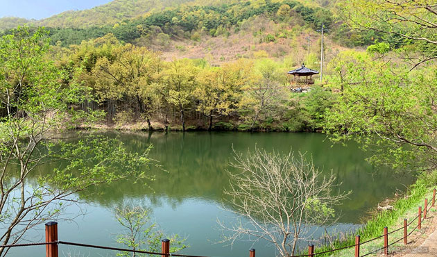 산책로 사진