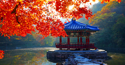 내장산 이미지(1)