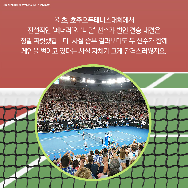 테니스 경기 전경 사진