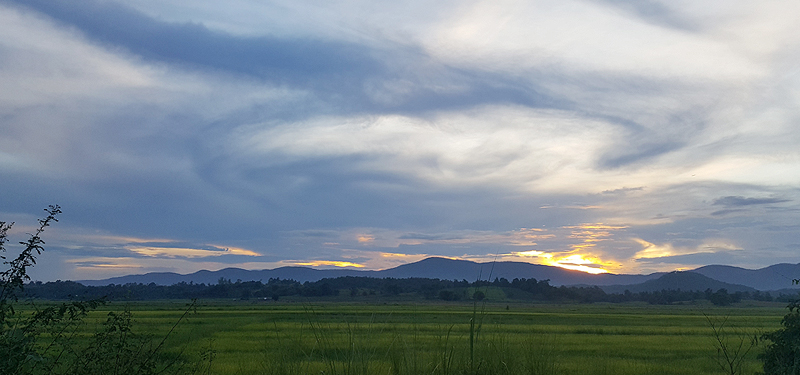 이른 새벽 태국 농촌 풍경