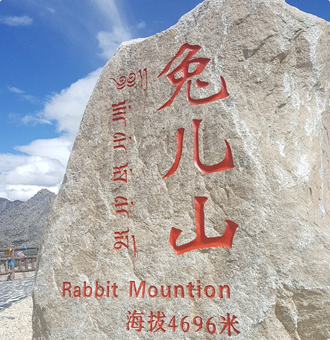 티베트가 진정한 고산지대임을 알려주는 해발고도를 알려주는 기념비 사진